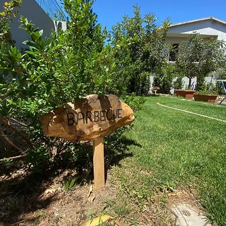 Tequila 3* אולביה