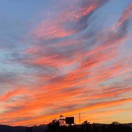 Tequila אולביה