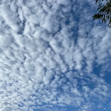 Tequila לינה וארוחת בוקר