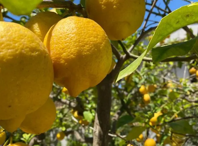 Nocleg ze śniadaniem Tequila 3*