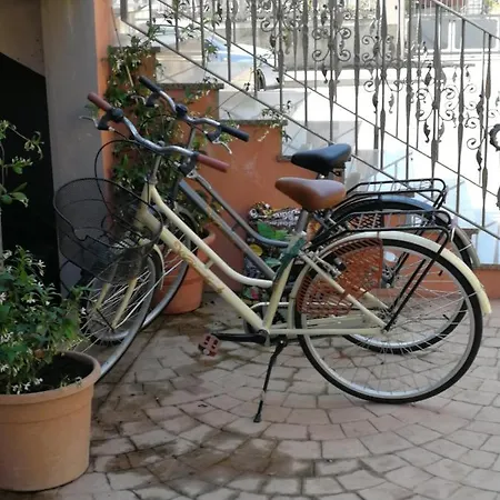 Tequila 3* 올비아