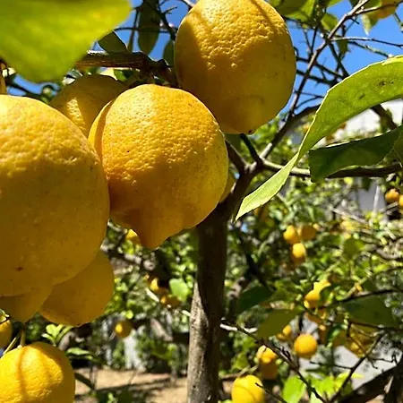 Tequila 住宿加早餐酒店 3*